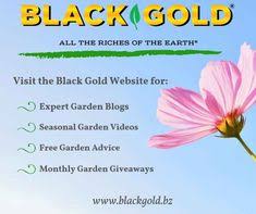 Maybe you would like to learn more about one of these? 17 Black Gold Usa Garden Mixes And Amendments Ideas Garden Soil Black Gold Soil