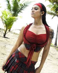 50+ Sexiest Bikini Photos of Nayantara(LadySuperstar):Rare Naval & Cleavage  Images – chandrakanth HD phone wallpaper