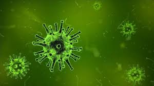 Illinois health officials reported 1495 new confirmed and probable coronavirus cases and 21 additional deaths in the last day, along with more than 25000. Coronavirus Cases Continue To Rise In Europe