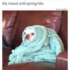 18 Weird Things People Who Are Always Cold Do All The Time Cold Humor Cold Meme Always Cold