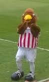 Welcome to the official instagram of cheltenham town football club. Cheltenham Town F C Wikipedia