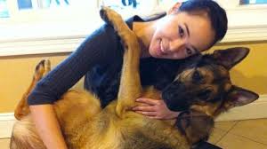 Your german shepherd puppy is very healthy. Dunder S Favorite Trick Being A Baby German Shepherd Youtube