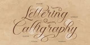 Image result for Hilleria