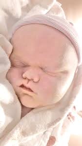 Sebastian Alexander Sigmund Wagner Obituary