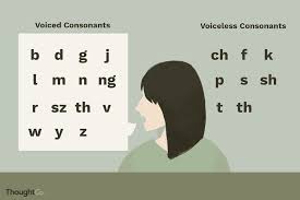 Voiced Vs Voiceless Consonants