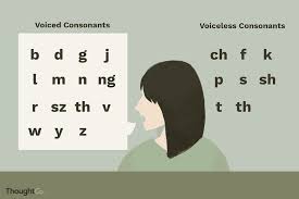 voiced vs voiceless consonants