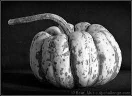 Whilst researching irving penn bing suggested that i look at edward weston. 76 Edward Weston Ideas Edward Weston Weston Edward
