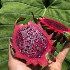 Sep 20, 2020 · dragon fruit, or pitaya, are cactus fruit that come in three types. Red Dragonfruit Pitaya Box Miami Fruit
