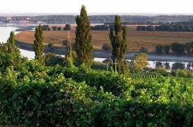 Ostrov Constanta Natural Landmarks Outdoor Farmland