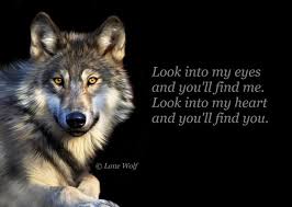 When I Look Into The Eyes Of An Animal Quote Look Into My Heart And You Ll Find You The Lone Wolf Lone Wolf Quotes Wolf Quotes Lone Wolf