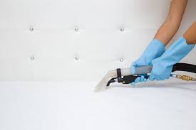 Le bicarbonate de soude en nettoyage ? Nettoyeur Vapeur Matelas Comment Nettoyer Son Matelas