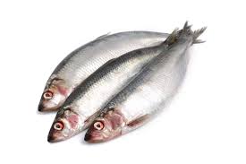 Cooked Fish White Background Google Search Superfoods Eye Health Fish