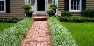 How And When To Trim A Monkey Grass Border Today S Homeowner Sidewalk Landscaping Front Yard Landscaping Pathway Landscaping