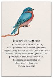 Check spelling or type a new query. Bluebird Birthday Card Cardthartic Com