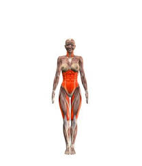 Browser Not Supported Yoga Com Exercices De Yoga Anatomie Yoga Yoga Pour Debutants