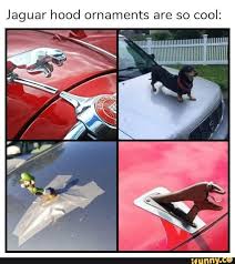 Jaguar Hood Ornaments Are So Cool Ifunny Funny Memes Funny Relatable Memes Jaguar Hood Ornament