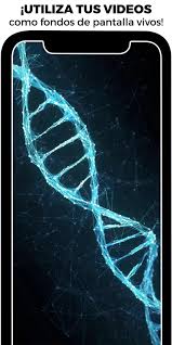 Hay para todos los gustos y en diferentes resoluciones como full hd, quad hd y 4k, así que no te preocupes porque de seguro. Fondos De Pantalla Animados Amoled 3d 4k Walloop For Android Apk Download