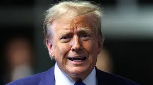 Donald Trump supporters wear nappies ...