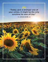 Take a sneak peak at the movies coming out this week (8/12) stillwater has sparked a conversation in hollywood, and hopefully it's a catalyst for change This Is My Time To Shine Quotes Dream Big Sparkle More Shine Bright Sparkle Quotes Bright Dogtrainingobedienceschool Com