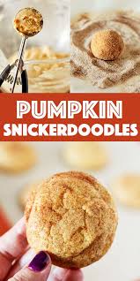 Pumpkin Snickerdoodles Recipe Video Recipe Pumpkin Cookie Recipe Pumpkin Snickerdoodles Snickerdoodle Recipe