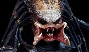 Welcome to the jungle + the official instagram account for the predator franchise! Film Review The Predator