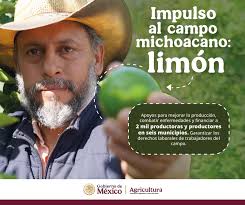 Tuve el honor de acompañar a la presidenta municipal de La Huacana, Yaritza  Rosas Gaona, en la presentación de su Primer Informe de Gobierno, en  representación de nuestro gobernador Alfredo Ramírez Bedolla.