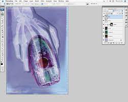A little known photoshop technique is the x ray process. Photoshop Tutorial Fake X Ray Effects Digital Arts