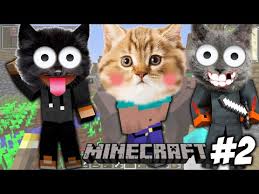 Konusan Kediler Ekibiyle Minecraft W Yavru Kedi Ve Gaffur Youtube