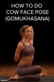 How To Do Cow Face Pose In Yoga Gomukhasana Cow Face Pose Cow Face Yoga Poses Advanced