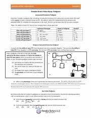 (b) the correct shapes for males and females are used. Video Recap Of Pedigrees By Amoeba Sisters 1 Pdf Amoeba Sisters Video Recap Pedigrees Amoeba Sisters Video Recap Pedigrees Autosomal Recessive Course Hero
