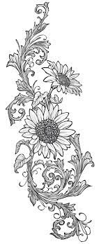 Wood burning coasters diy tutorial. A Wolf Illustrations Blog January 2011 Sunflower Drawings Sunflower Drawing Wolf Illustration