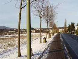 Joseph beuys was born 12 may 1921 in krefeld, an industrial town near düsseldorf, and raised in kleve, a medieval town on the lower rhine. Joseph Beuys 7000 Oaks Symbolic Communication With Nature All Art Is Quite Useful