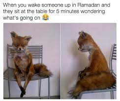 When It S 3 Am And You Just Can T Fox Memes Arabic Memes Funny Relatable Memes