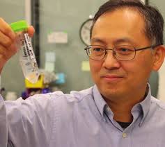 TWENTY YEARS OF INNOVATION