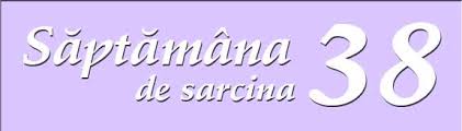 Daca totusi astepti sa ti se faca o a. Saptamana 38 De Sarcina Bebelu Ro