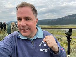 Where is the best place to see wolves in Yellowstone National Park?