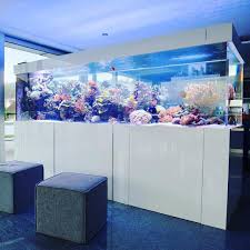 Pin By Martin Kunzelnick On Marine Tank Fish Tank Design Saltwater Aquarium Tanks Aquarium
