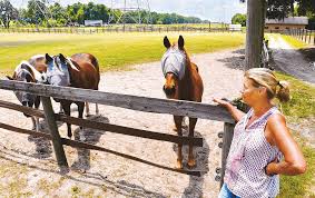 Pilot OK after crash landing