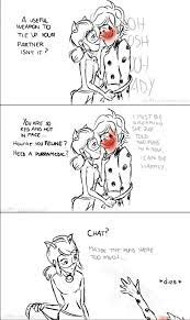 Part 2 Of 2 No The Puns Were Purr Fet Miraculous Ladybug Anime Miraculous Ladybug Funny Miraculous Ladybug Memes