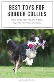 The Best Dog Toys For Border Collies Moby S Picks For 2019 Best Dog Toys Border Collie Dog Toys
