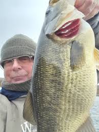 ISO Super Tiggers, what are they called?