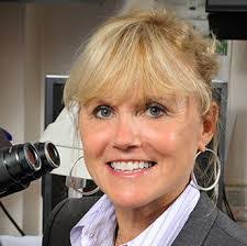 Ann Mckee's Instagram, Twitter & Facebook