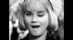 Profile for Matt Bear