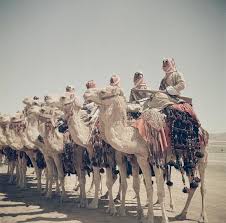 Ali is killed in battle and his forces routed) through some combination of changes? Pin On Battle