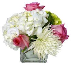 Cheap weed oz from $99, dab pens $50, edibles $12. Ottawa Flowers Inc 50 Off Delivery Birthday Anniversary Wedding Sympathy