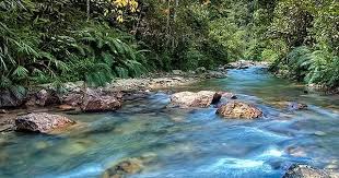  Foto Pemandangan Sungai Foto Pemandangan Sungai Pemandangan Sungaihttp Pemandanganoce Blogspot Com 2017 09 Foto Pemandangan Sungai Pemandangan Gambar Sungai