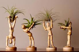 Moderner Mann Airplanter W Living Air Plant Holzdekor Holz Pflanzer Air Plant Ho Planter Pots Indoor Handmade Planter Air Plant Holder