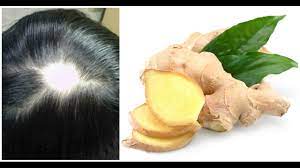 Ginger helps to boost hair growth in three ways. Ginger Juice To Cure Baldness Regrow New Hair Sushmita S Diaries Youtube
