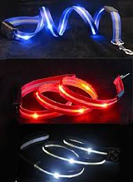 Pin By Wendy On Products I Love Lighted Dog Leash Dog Leash Dog Inventions