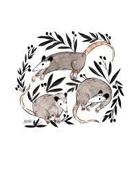 Opossum Art Print Cute Opossums Print Giclee Print Possum Love Opossum Illustration Illustration Print Art Prints Animal Art Art